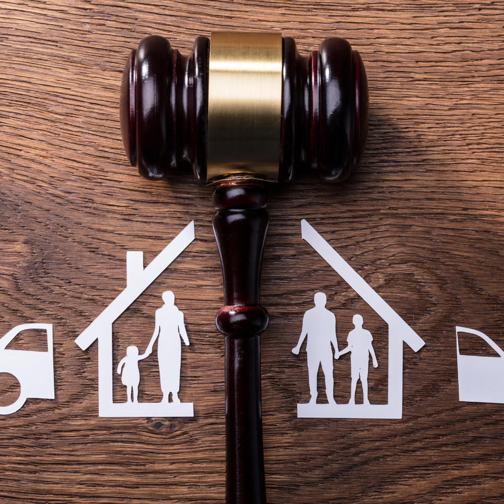 Divorcios, custodia, pensiones y mediación familiar.